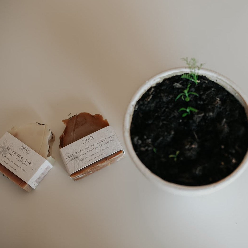 plantable seed paper labels on SOAK Bath Co soap bars