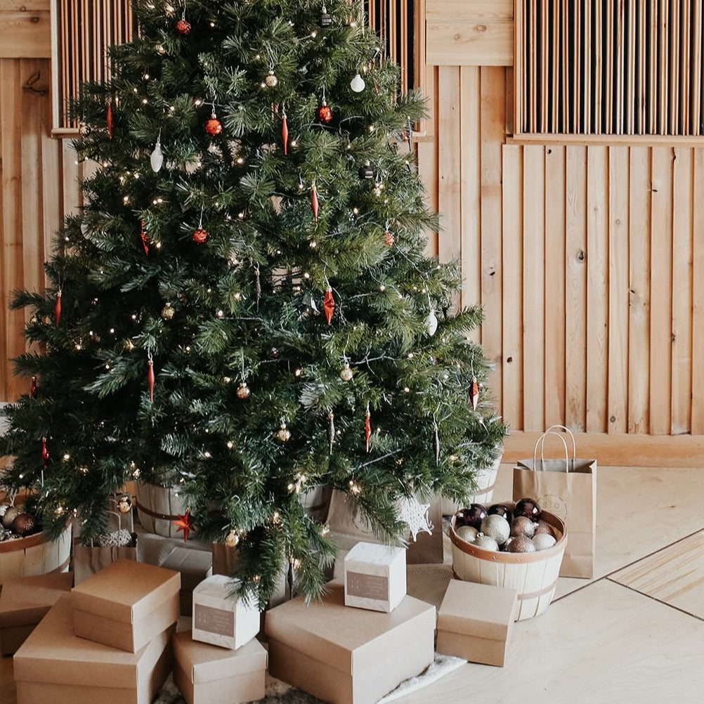 Christmas gift ideas, holiday gift ideas, holiday gift collection