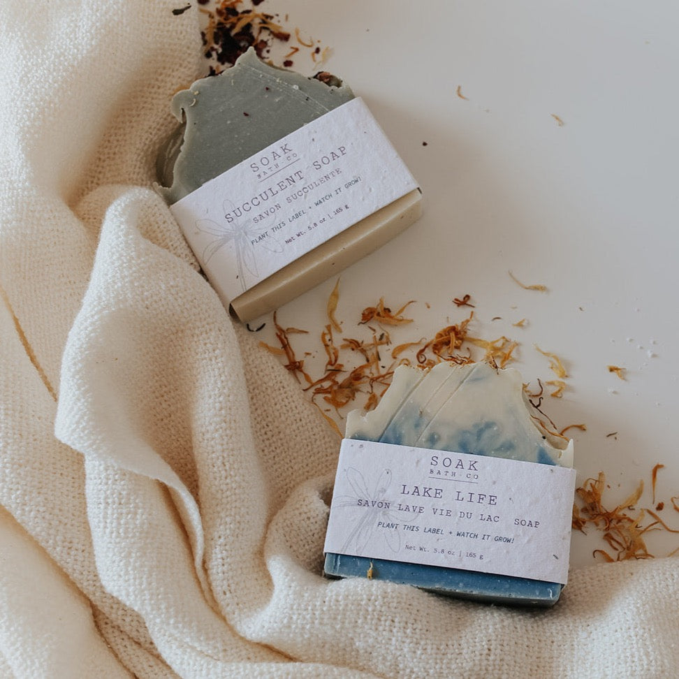 Summer Soap Bar Collection, Succulent Soap Bar, Lake Life Soap Bar
