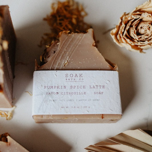 Pumpkin Spice Soap Bay made by SOAK Bath Co